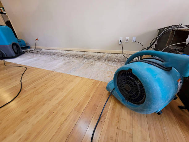 Professional Flood Damage Cleanup technician working in Cedarburg, WI